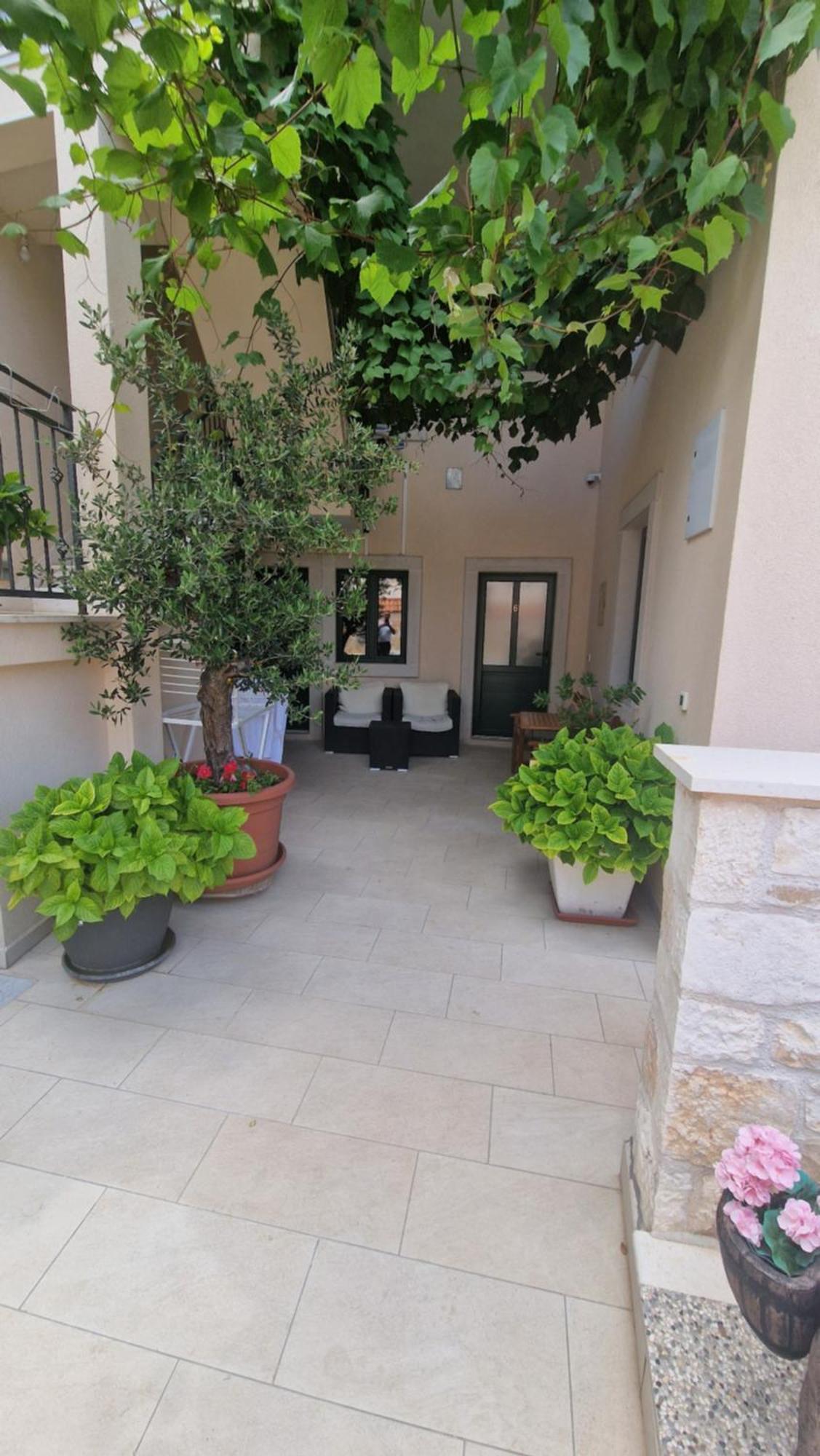 Apartment Ante 2